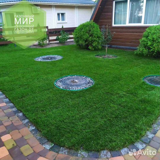 Рулонный газон