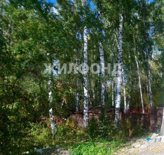 Участок 6 сот. (СНТ, ДНП)