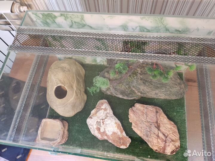 Террариум для эублефара