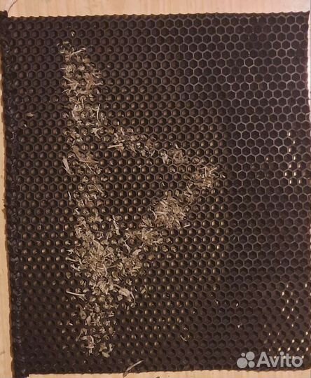 Свеча из вощины с Руной Турисаз