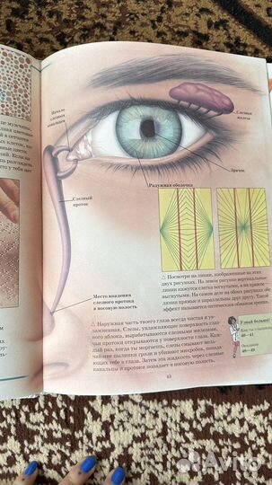 Комплект детских книг «Тело человека» 2007 г