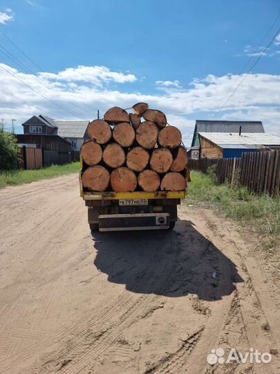 Дрова огонь