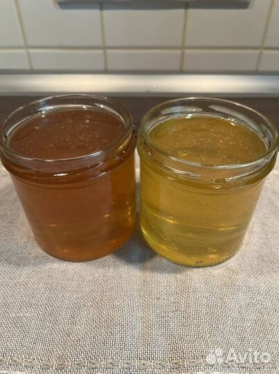 Мед с Алтая - акация, горное разнотравье, гречиха