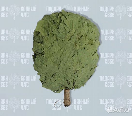 Заготовка веников для бани / дуб, береза, липа