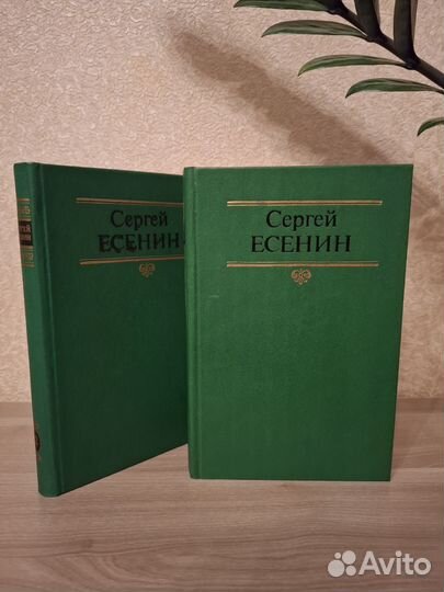 Стихи С. Есенина