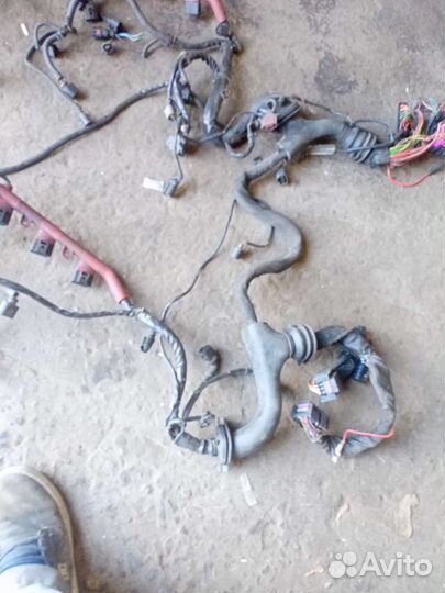 Проводка двигателя 3,2 Audi A6 C6 BKH