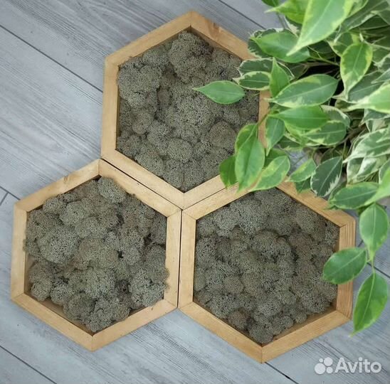 Полки со мхом/ декорация настенная