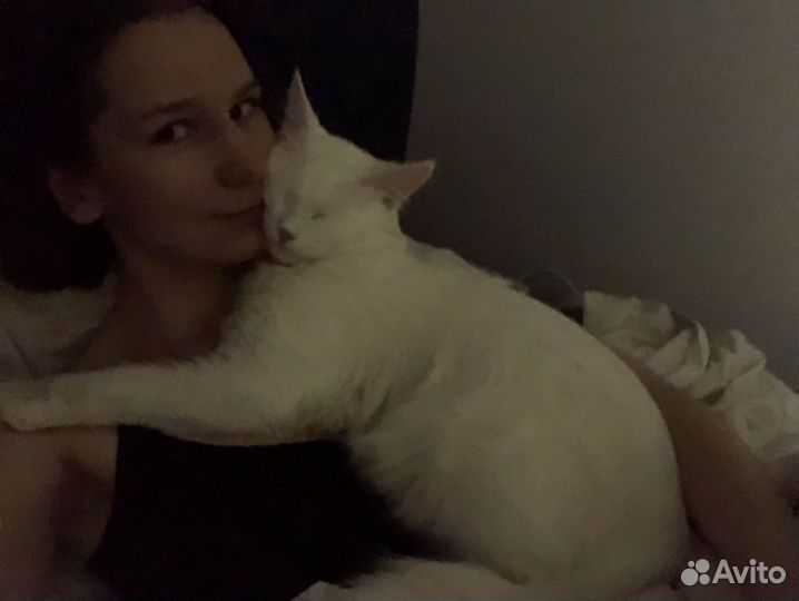 Догситтер, зооняня, передержка собак, няня