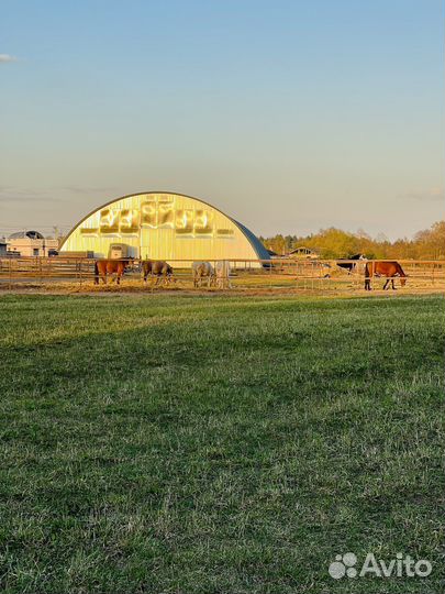 Приглашаем на постой
