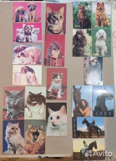 Карманные календарики, животные