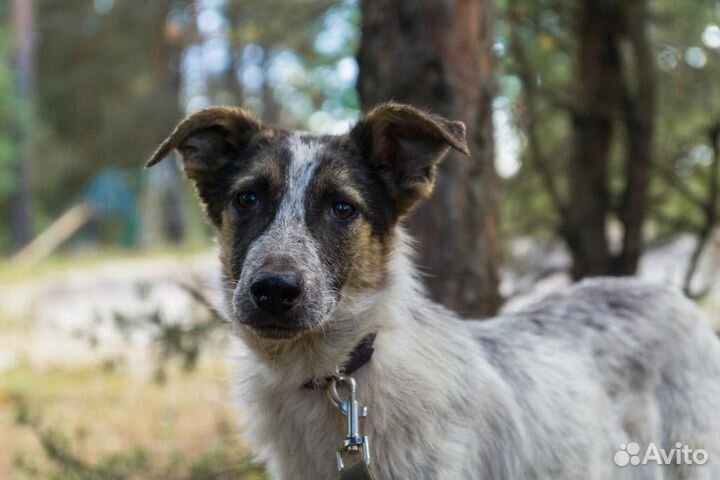 Я-Мартин и у меня спортиная фигура