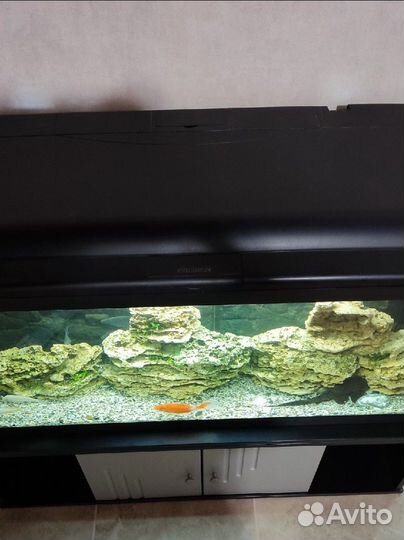 Аквариум с тумбой