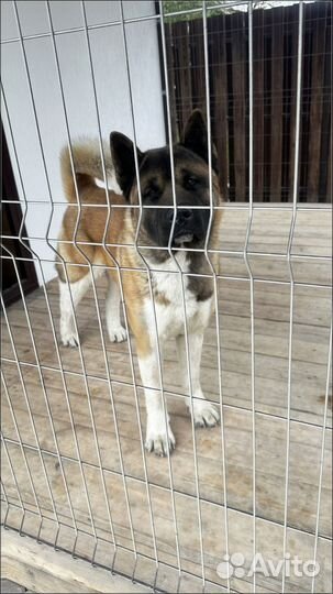 Плитка тротуарная минимальный объем 120 м2