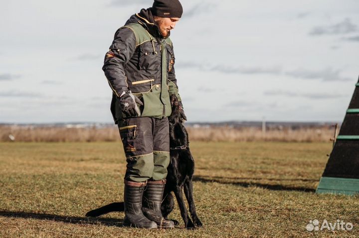 Дрессировка собак, кинолог Москва и мо
