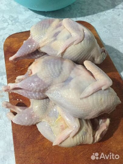 Мясо перепелки