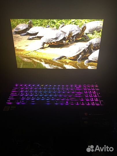 Игровой ноутбук msi gl65