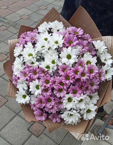 Доставка хризантем на дом