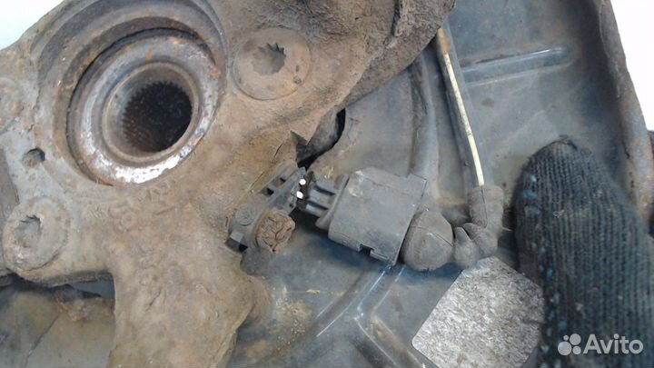 Ступица (кулак, цапфа) Volkswagen Tiguan, 2010