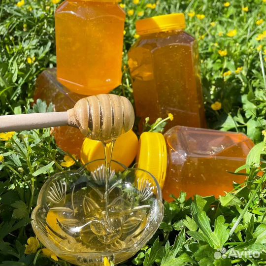 Мед акациевый