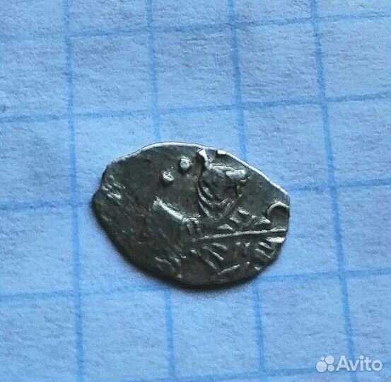 Чашуйка серебряная