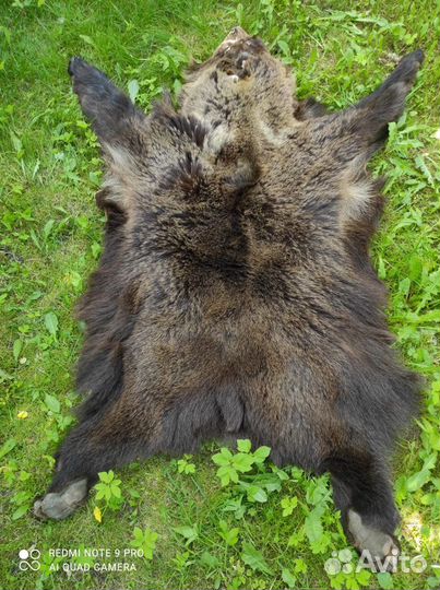 Продам шкуру медведя(имитация)