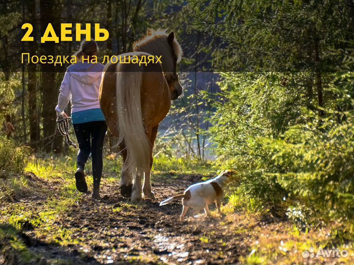 Авторский тур по Калининградской области