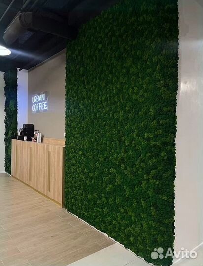 Панно из стабилизированного мха