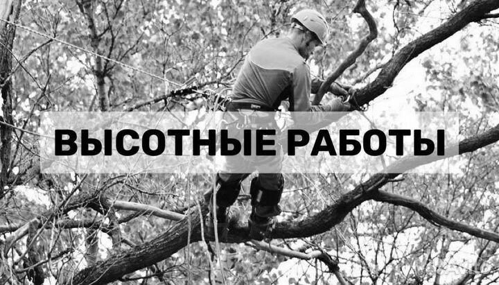 Высотные работы,спил деревьев,покос травы