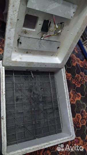 Инкубатор несушка