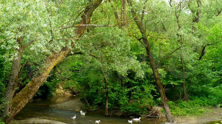 Участок 72 га (СНТ, ДНП)