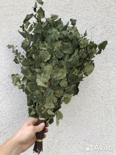 Березовый веник для бани