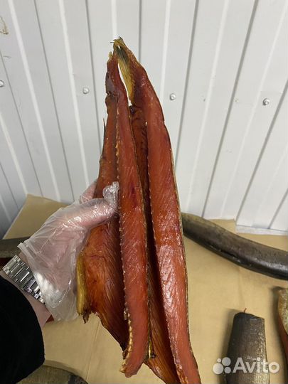 Теша кеты и нерки