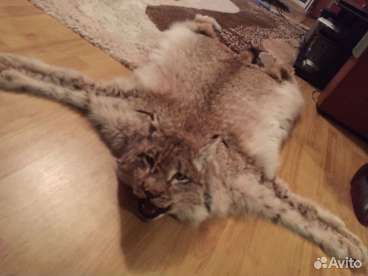 Шкура рыси (имитация)