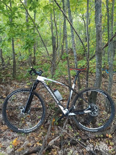 Orbea alma carbon 29