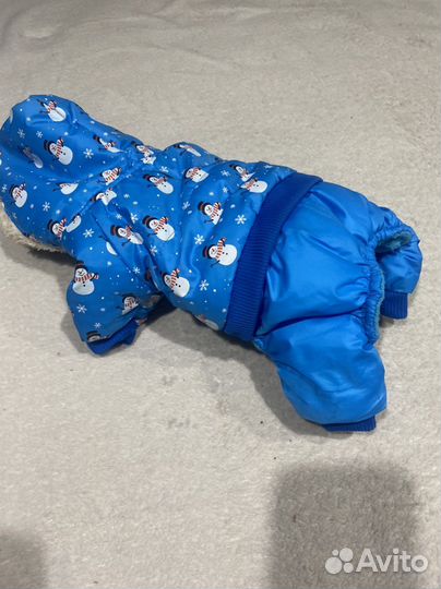 Одежда для маленьких собак