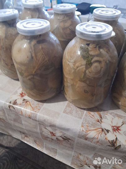 Грибы соленые