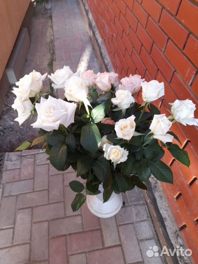 Цветы Розы и букеты