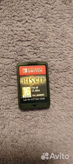 Игра Risen на Nintendo switch