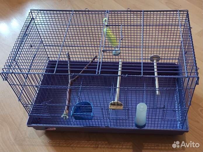 Клетка для попугая