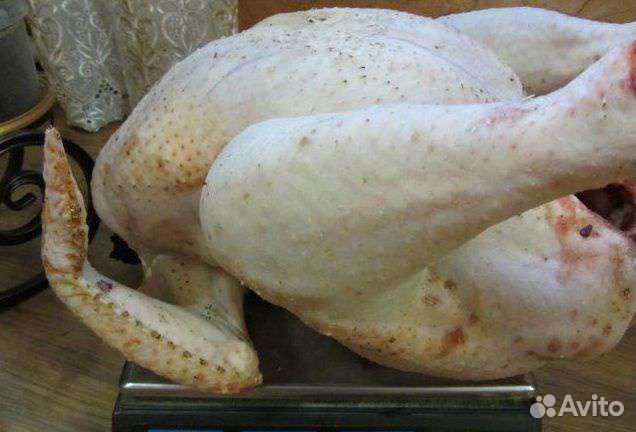 Индейка, мясо бройлерной индейки