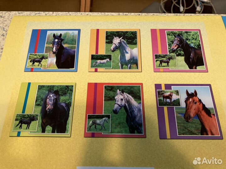 Лошади фото календари в идеале 30/30см