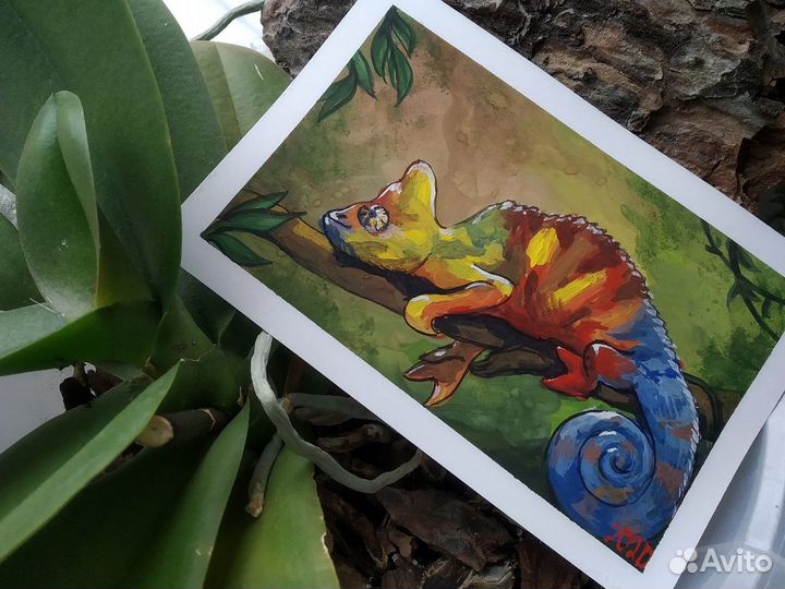 Услуги художника, дизайнера