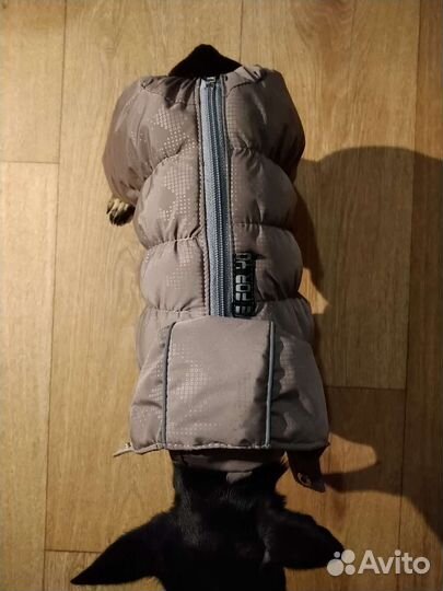 Зимний костюм для собак