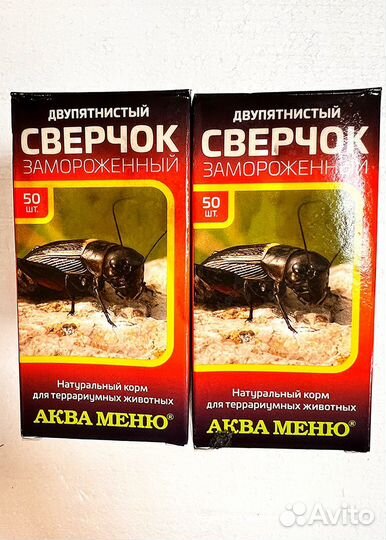 Кормовые насекомые замороженные