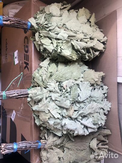 Веник дубовый для бани