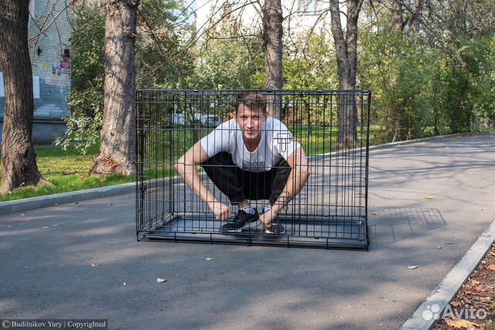 Клетка для собак