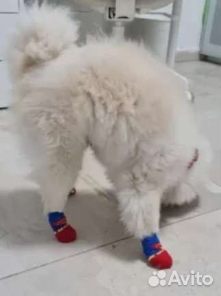 Аксессуары для питомцев новые