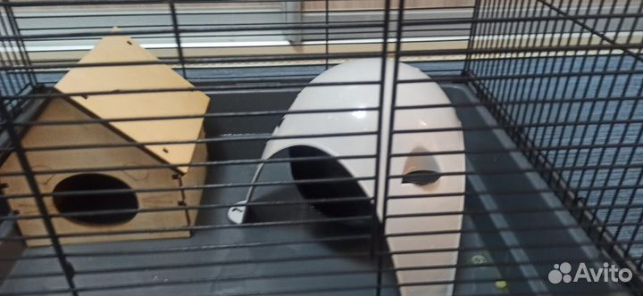 Клетка для грызунов большая