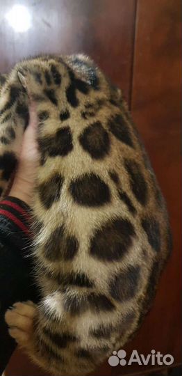 Бенгальская