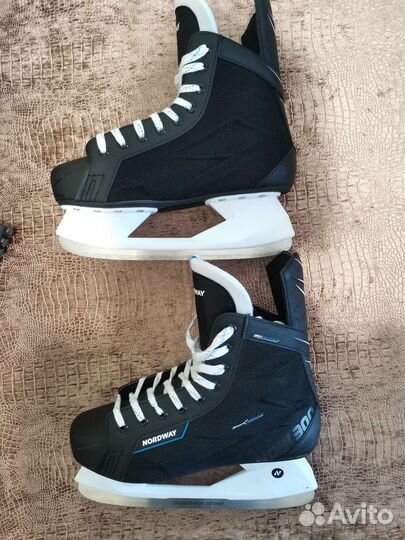 Коньки хоккейные Nordway NDW300 (Полный комплект)